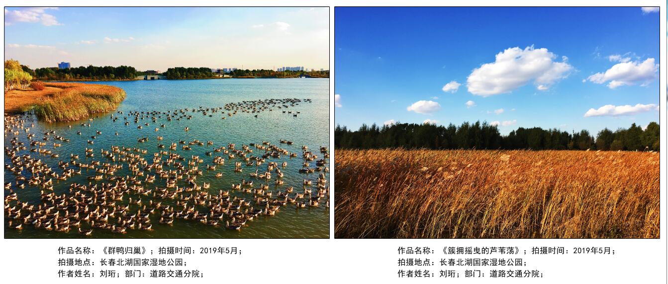 網站-1（?。?/></p><p><br/></p><p style=
